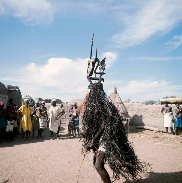 Bamana Mali ceremonieel beeld antilope Chi Wara masker 69cm - Afbeelding 26