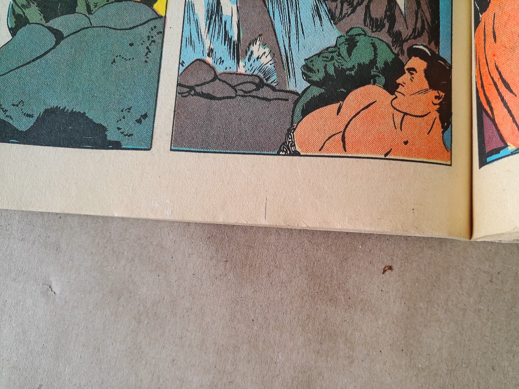 Edgar Rice Burroughs' Tarzan No 3 - Afbeelding 15