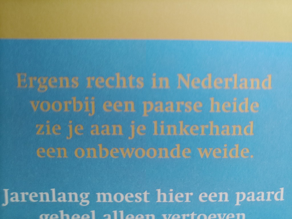 Kees van Kooten Willem van Malsen Het Schaampaard - Afbeelding 9
