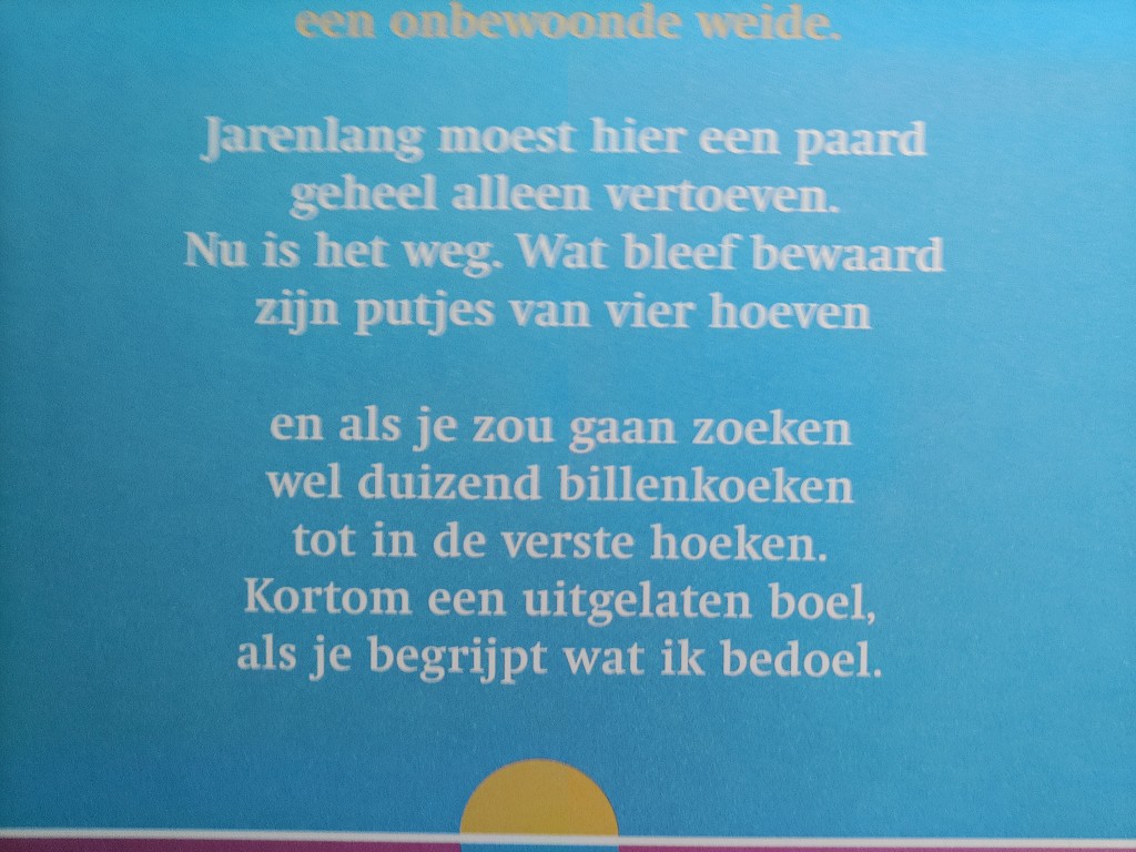 Kees van Kooten Willem van Malsen Het Schaampaard - Afbeelding 10