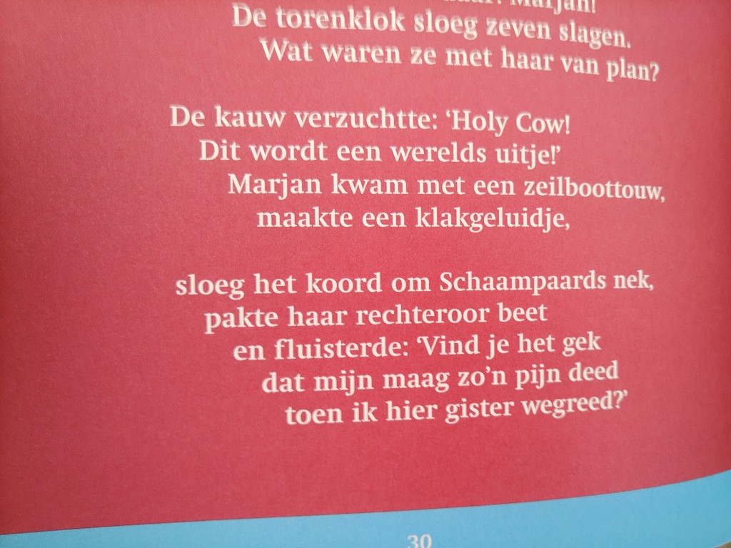 Kees van Kooten Willem van Malsen Het Schaampaard - Afbeelding 15