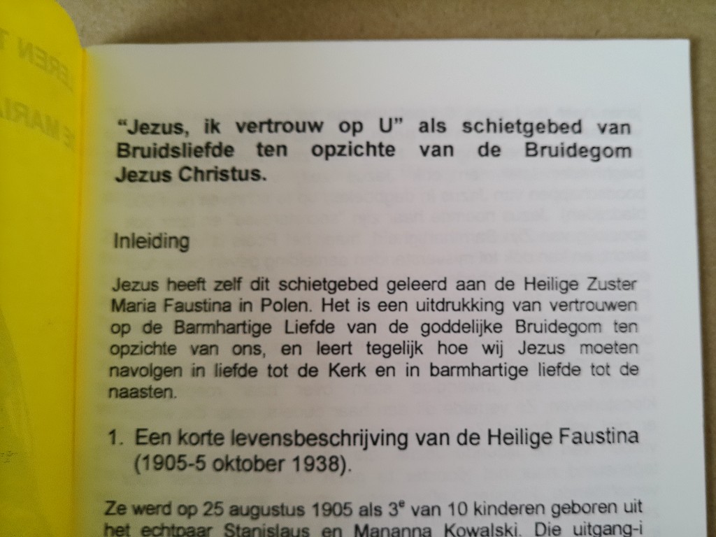 Dr. Ant. Van Uden pr. Leren te vertrouwen en te geven De Mariale bruidsliefde - Afbeelding 4