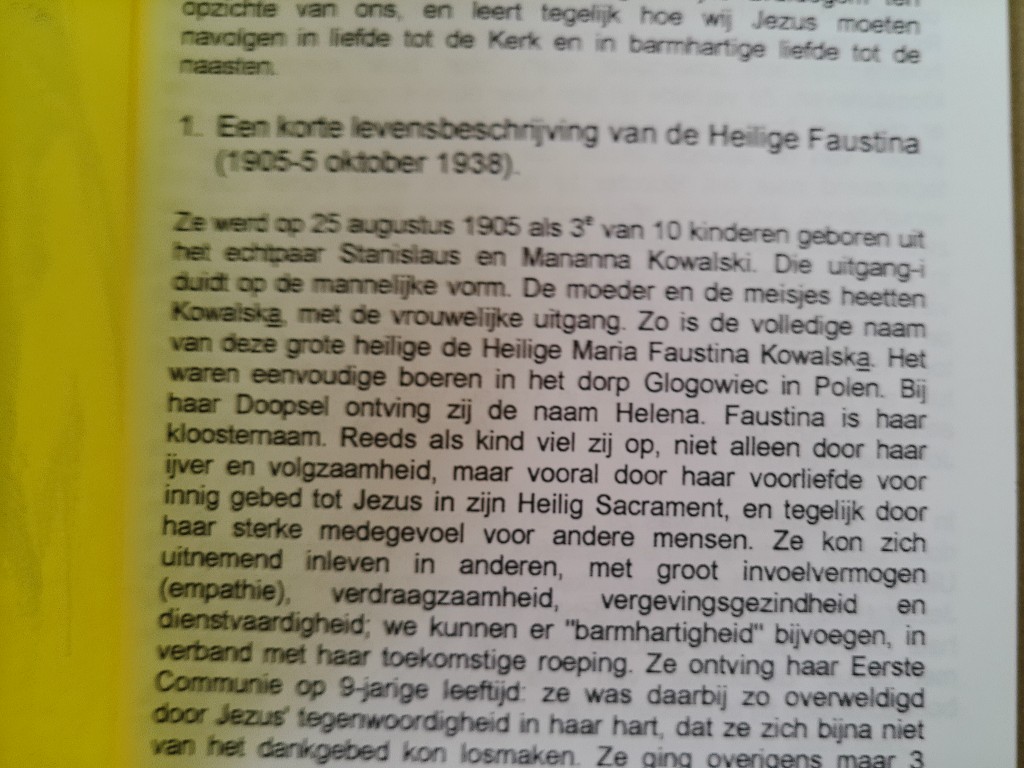 Dr. Ant. Van Uden pr. Leren te vertrouwen en te geven De Mariale bruidsliefde - Afbeelding 5