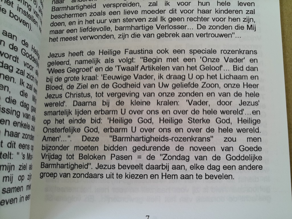 Dr. Ant. Van Uden pr. Leren te vertrouwen en te geven De Mariale bruidsliefde - Afbeelding 6