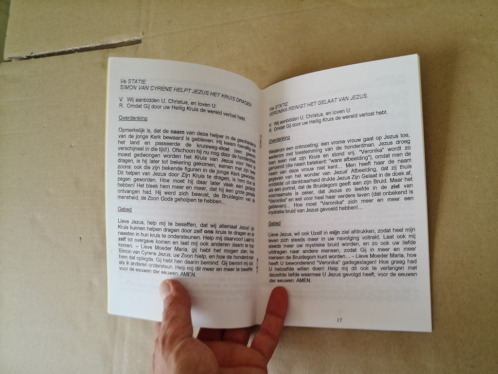 Dr. Ant. Van Uden pr. Leren te vertrouwen en te geven De Mariale bruidsliefde - Afbeelding 7