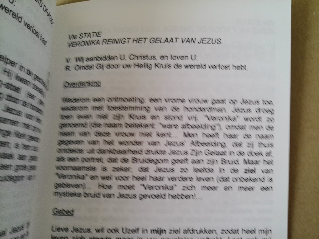 Dr. Ant. Van Uden pr. Leren te vertrouwen en te geven De Mariale bruidsliefde - Afbeelding 8