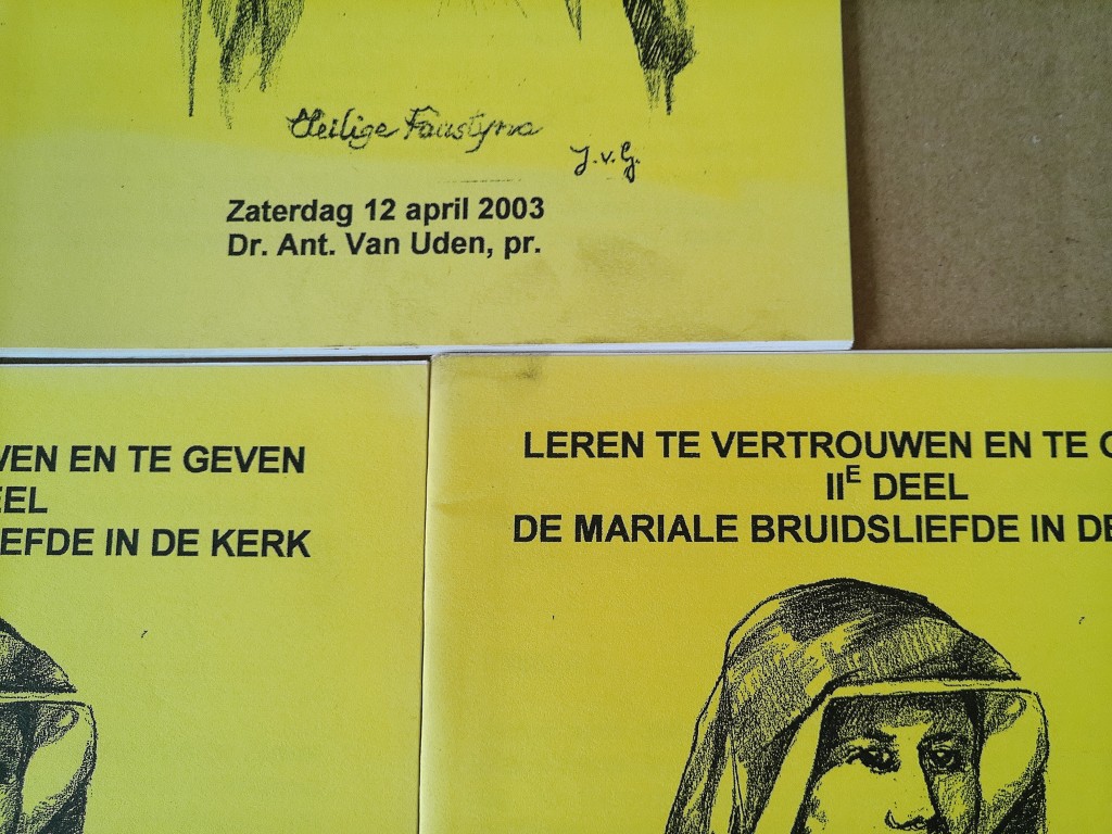Dr. Ant. Van Uden pr. Leren te vertrouwen en te geven De Mariale bruidsliefde - Afbeelding 13